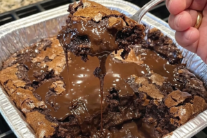 Hot Fudge Pudding Cake