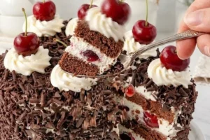 Decadent Black Forest Cake with chocolate layers, cherries, and whipped cream
