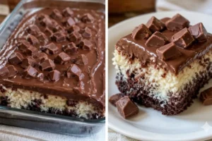 Chocolate Coconut Cake