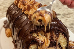 Gooey Chocolate Peanut Cake Roll
