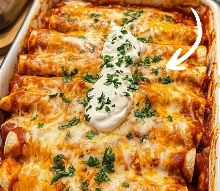 Ultimate Quick and Easy Chicken Enchiladas