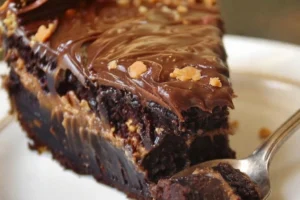 Chocolate Peanut Butter Ooey Gooey Cake
